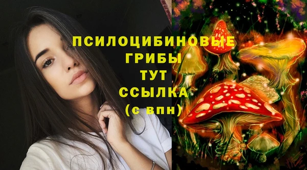 молекула духа Абаза