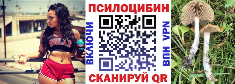 Галлюциногенные грибы Magic Shrooms  гидра как зайти  Тимашёвск  купить наркотик 